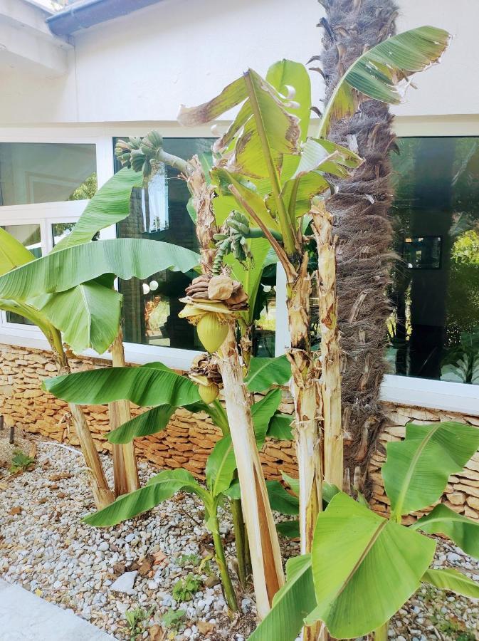 Hotel Minerva Medulin Bagian luar foto